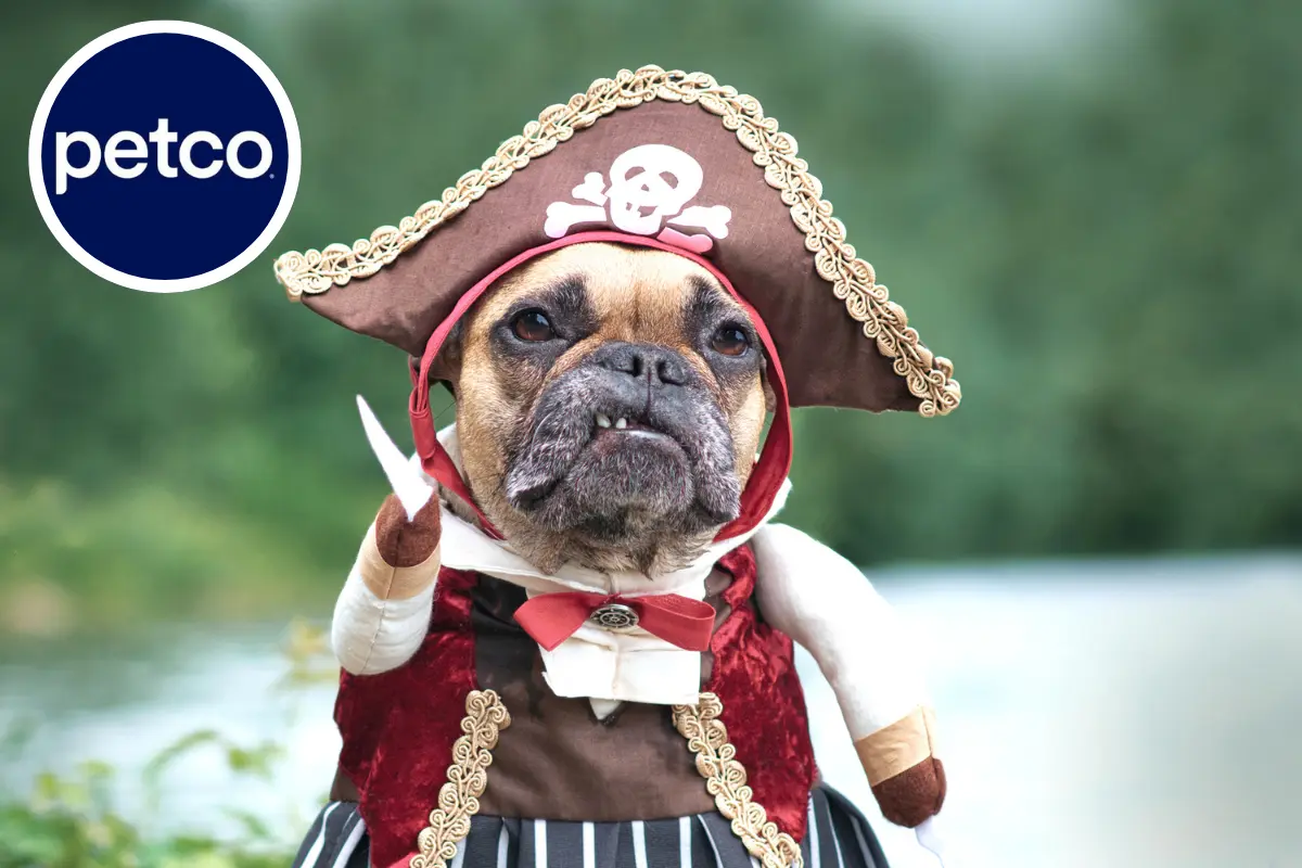 Halloween 2025: Disfraza a tus mascotas y participa en la pasarela Petco, ¿dónde y cuándo? . Foto: Canva | Petco