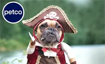 Halloween 2025: Disfraza a tus mascotas y participa en la pasarela Petco, ¿dónde y cuándo?