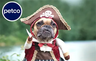 Halloween 2025: Disfraza a tus mascotas y participa en la pasarela Petco, ¿dónde y cuándo?