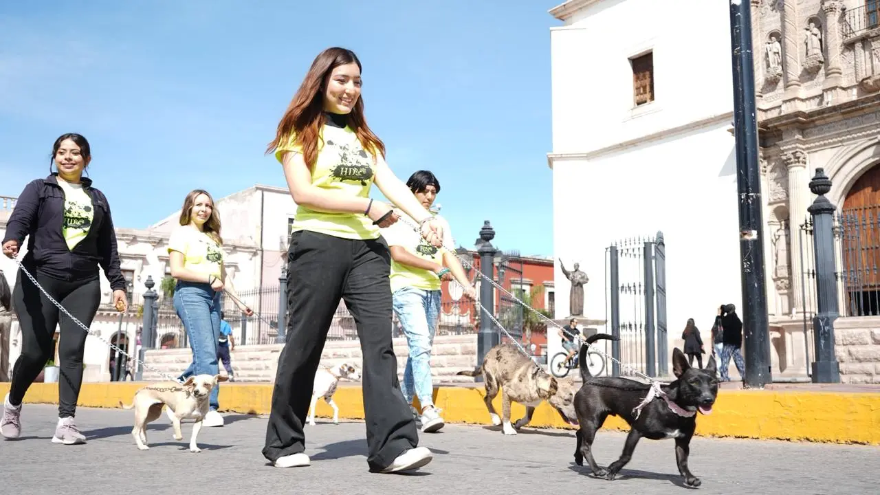 En Durango de Rol  también pueden participar las mascotas. | Foto: Cortesía.