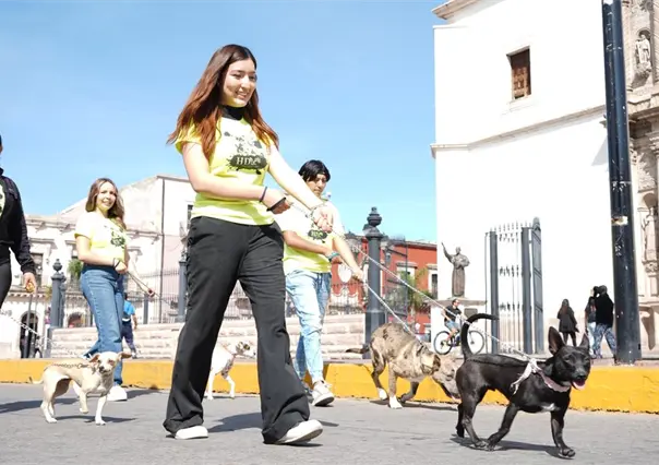 La actividad de Durango de Rol que busca darle un hogar a perros y gatos rescatados