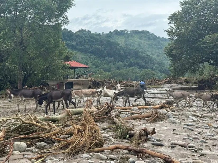 Foto: Facebook (Carlos Barragán Amador)
