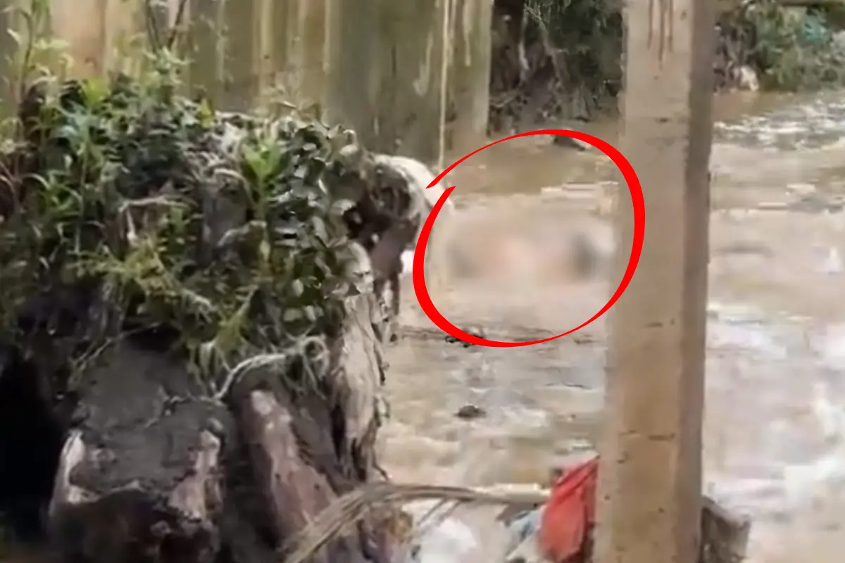 Hallazgo de cuerpo en río de Edomex. Foto: X (@CIUDAD_SATELITE)