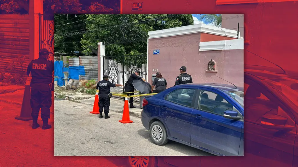 Maltrato animal en Mérida: hallan a una perrita herida dentro de un basurero