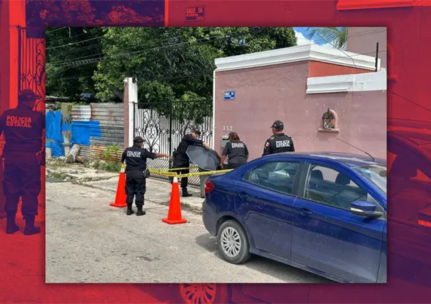 Maltrato animal en Mérida: hallan a una perrita herida dentro de un basurero