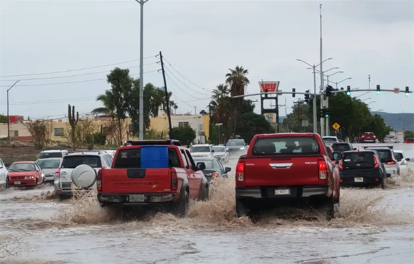 Foto: Héctor Romero / POSTA Baja California Sur