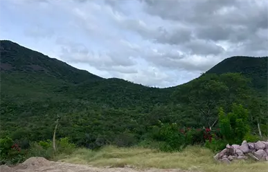 Clima en BCS | Estas son las temperaturas que se esperan hoy 12 de octubre