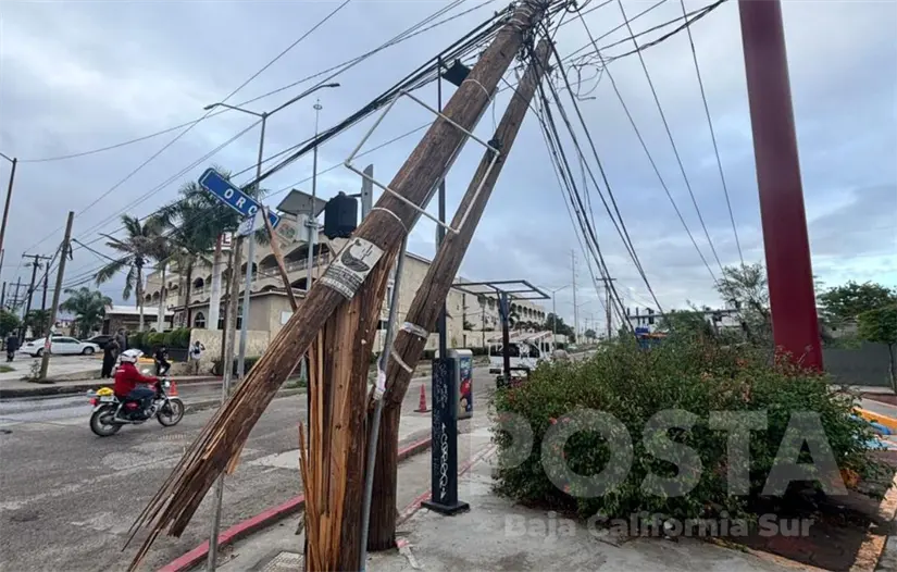 Foto: Diego Verdugo / POSTA Baja California Sur