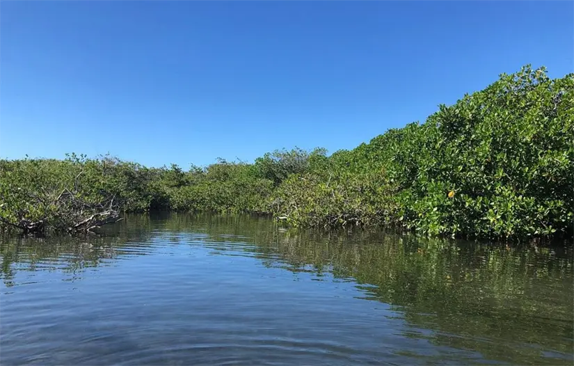 Foto: Dakota L / TripAdvisor