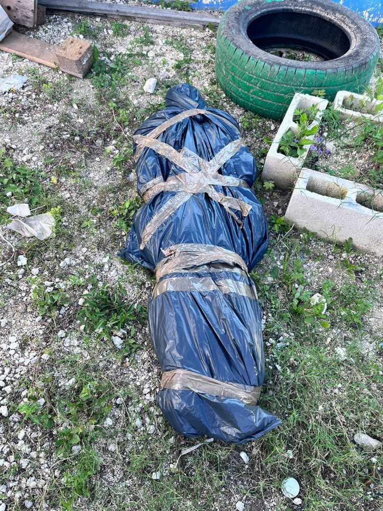 imagen-cuerpo imagen-cuerpo