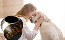 Los Cabos tendrá la primera funeraria para mascotas, ¿de qué trata?