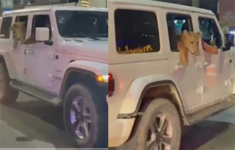 Foto: Captura video | TikTok / ruso.martz2