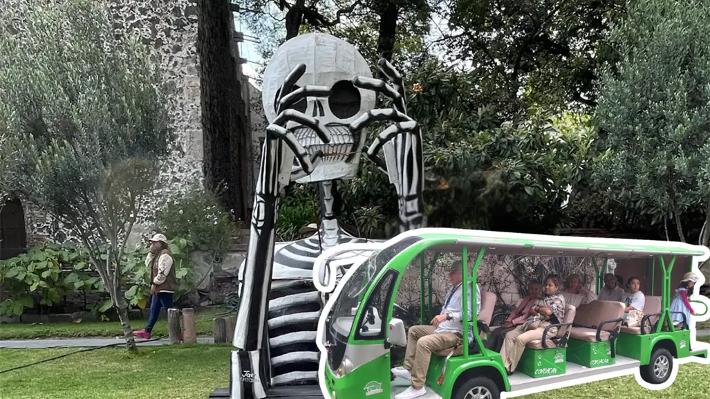 Tour del Día de Muertos en el barrio de San Ángel: visita ofrendas y leyendas a bordo del Ecobús 800
