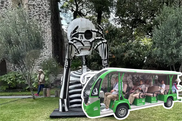 Tour del Día de Muertos en el barrio de San Ángel: visita ofrendas y leyendas a bordo del Ecobús 800