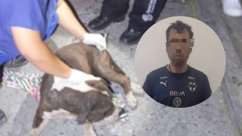 Detienen a 2 hombres por brutal agresión a perro en Santa Catarina I FOTOS