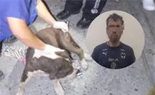 Detienen a 2 hombres por brutal agresión a perro en Santa Catarina I FOTOS