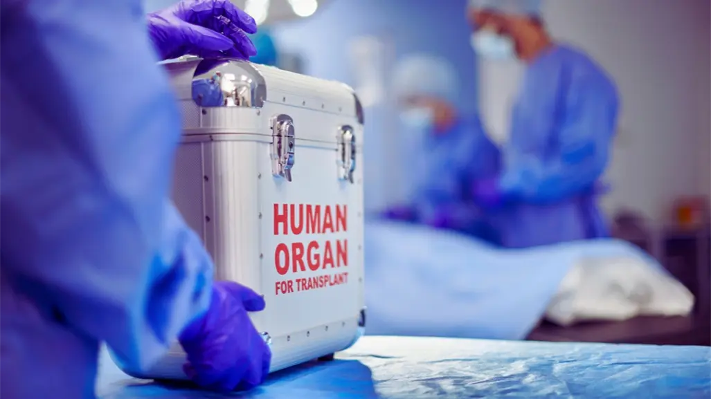 Cobertura Universal contra el cáncer en Nuevo León: ¿ofrece trasplantes en niños?