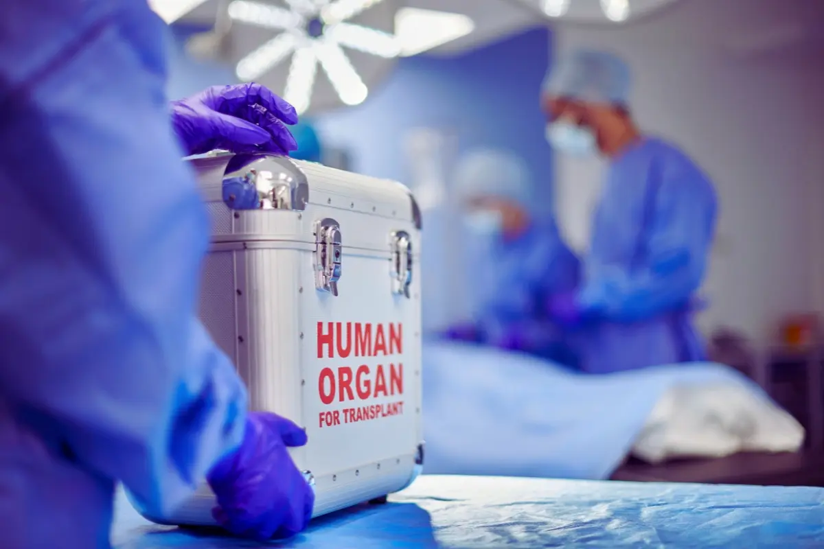 Imagen ilustrativa de la transportación de órganos humanos. Foto: Canva