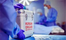 Cobertura Universal contra el cáncer en Nuevo León: ¿ofrece trasplantes en niños?