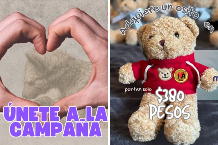 imagen-cuerpo imagen-cuerpo