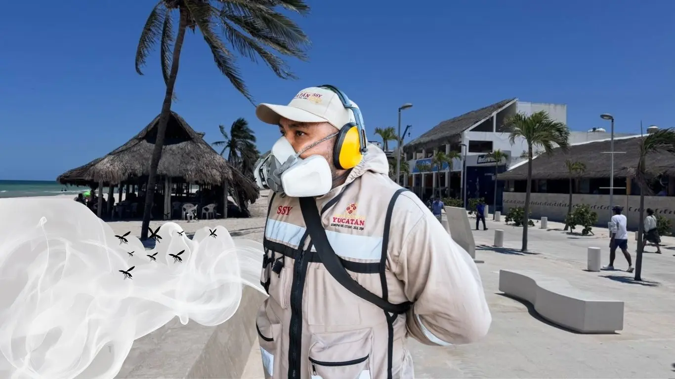 ¿Cómo están enfrentando la problemática de los moscos en Progreso?. Foto: Canva / Adity Cupil / SSY / Alejandra Vargas