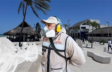 Moscos abundan en Yucatán: Progreso, el municipio más afectado y así lo combaten