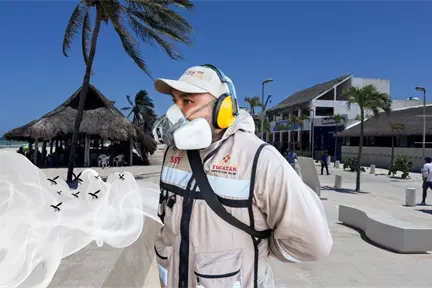 Moscos abundan en Yucatán: Progreso, el municipio más afectado y así lo combaten Moscos abundan en Yucatán: Progreso, el municipio más afectado y así lo combaten
