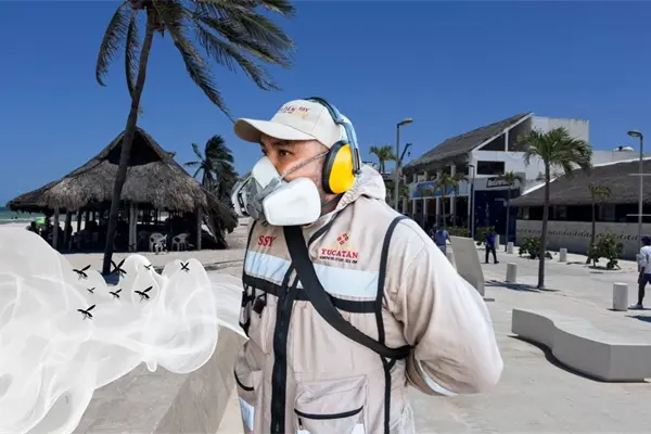 Moscos abundan en Yucatán: Progreso, el municipio más afectado y así lo combaten