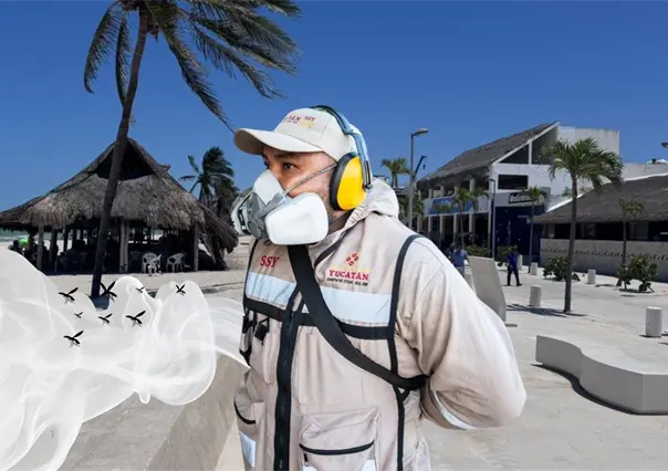 Moscos abundan en Yucatán: Progreso, el municipio más afectado y así lo combaten