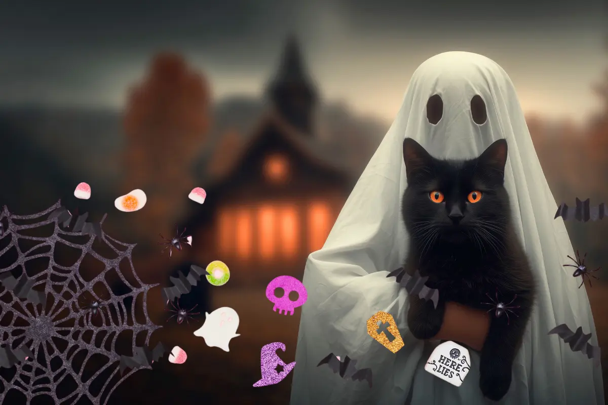 Halloween 2025: Guía práctica para hacer imágenes en ChatGPT e imprimir tu propia decoración. Foto: Canva