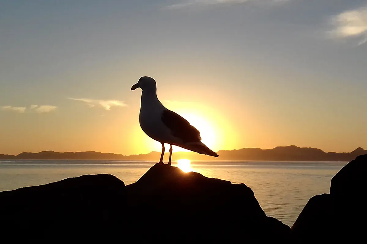 Amanecer en el Malecón de Loreto. Foto: Modesto Peralta Delgado.