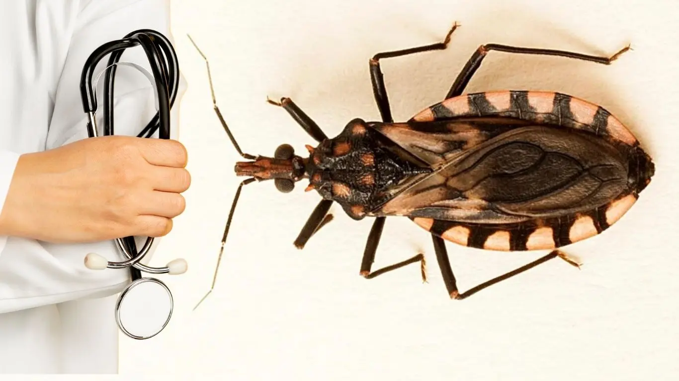 ¿En qué consiste el mal de Chagas?. Foto: Canva