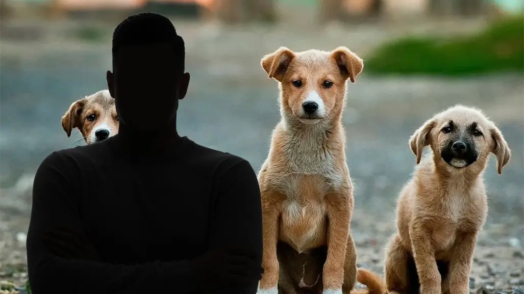 Señalan a presidente  de un grupo deportivo de Yucatán por maltrato animal: piden su expulsión
