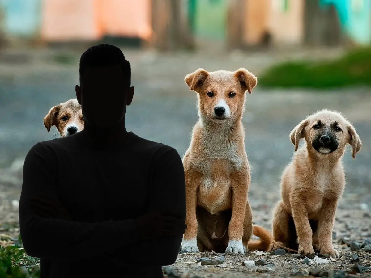 Tras un reciente caso de maltrato animal registrado en una colonia de Mérida, activistas piden que se castigue severamente al responsable, quien se trataría del presidente de un grupo deportivo.- Fuente Canva