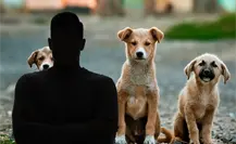 Señalan a presidente  de un grupo deportivo de Yucatán por maltrato animal: piden su expulsión