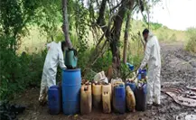 Operación Frontera Norte da aseguramientos en Baja California, Chihuahua, Coahuila, Sinaloa y Sonora