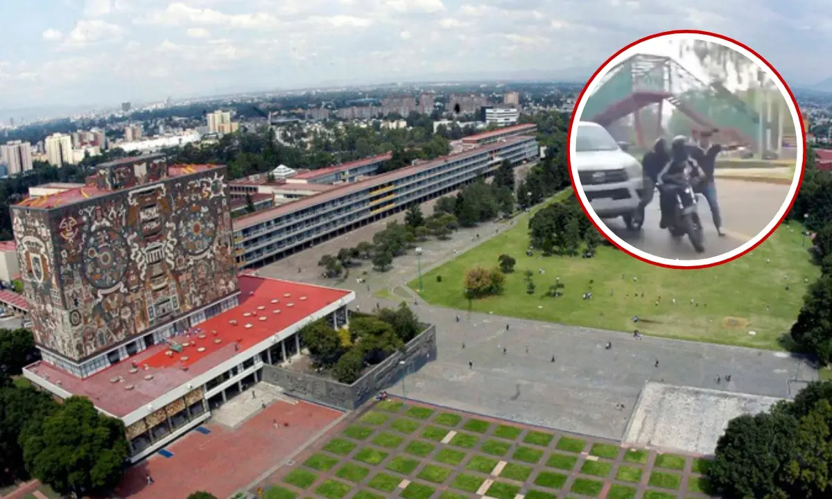 Ciudad Universitaria, robo frustrado por seguridad y estudiantes de la UNAM Foto: Gaceta UNAM | captura X (@JJDiazMachuca) | Canva