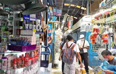 No solo Mercado de Sonora, en este mercado también venden animales exóticos en CDMX