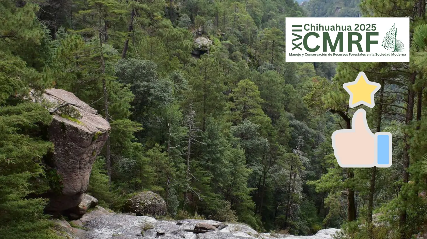 Durango fue reconocido por su buen manejo forestal en Congreso Mexicano de Recursos Forestales 2025. Foto: Especial.