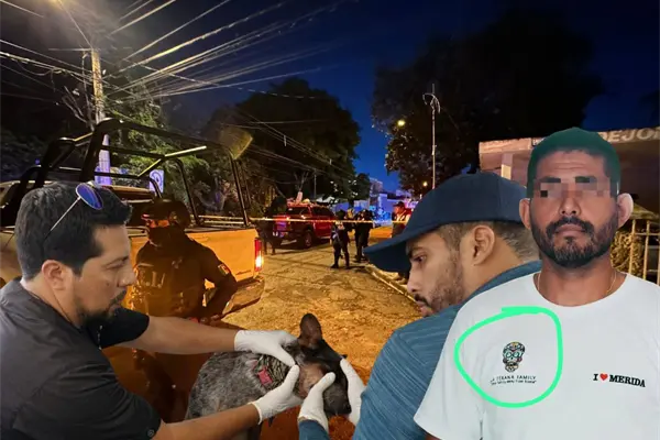 Realizan cateo en casa de presunto agresor de una perrita en Mérida