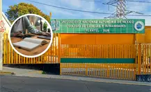 CCH Sur UNAM mantiene clases en línea: ¿por qué y cuándo reanudan clases presenciales? CCH Sur UNAM mantiene clases en línea: ¿por qué y cuándo reanudan clases presenciales?