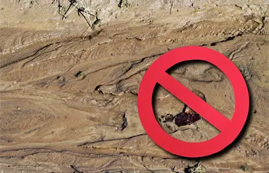 Capufe bloquea accesos clandestinos a carreteras en la autopista Saltillo - Torreón