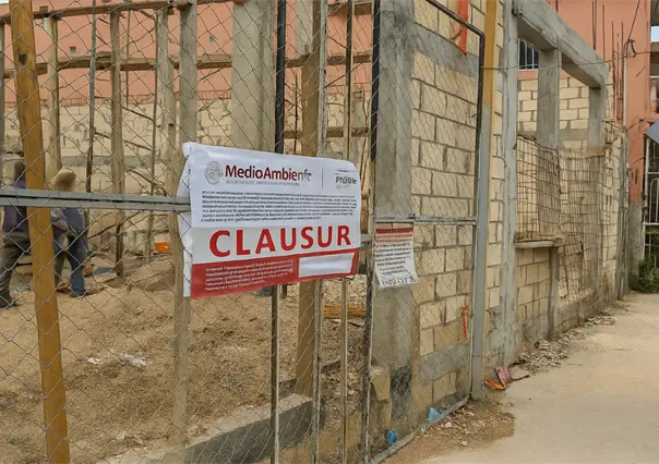 Profepa clausura obras ilegales en Campeche dentro de Área Natural Protegida