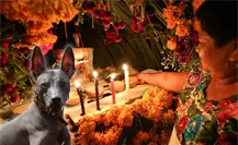 Hanal Pixán: ¿Cuándo se pone el altar para las mascotas en Yucatán?