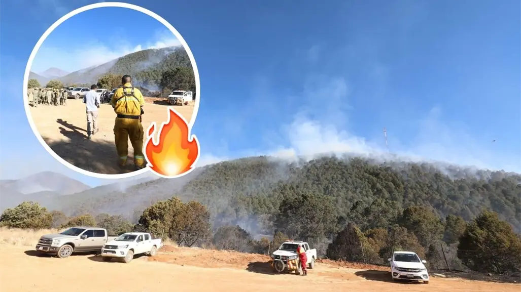 Congreso de Coahuila aprueba ley para prevenir y combatir incidíos forestales, de esto trata