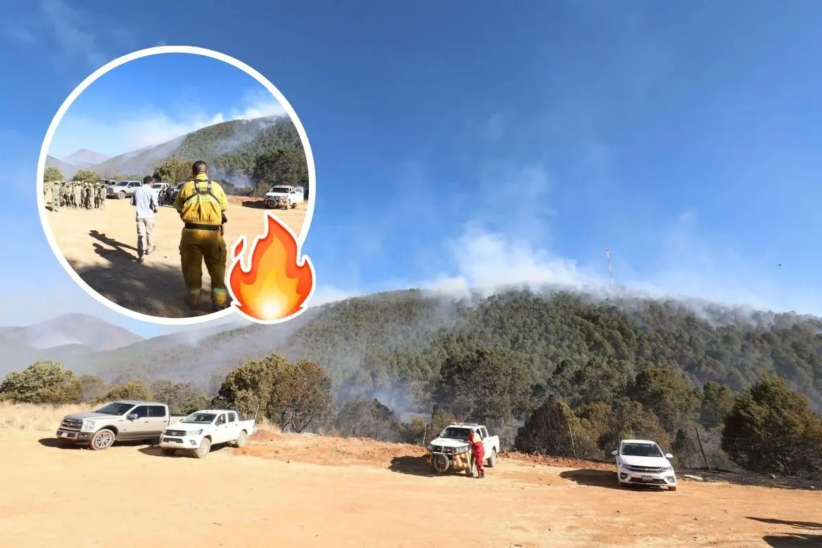 Combate de incendios en Coahuila / Fotos: Gobierno de Arteaga | Canva