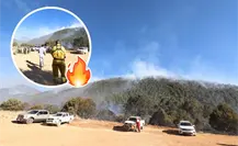 Congreso de Coahuila aprueba ley para prevenir y combatir incidíos forestales, de esto trata