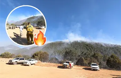Congreso de Coahuila aprueba ley para prevenir y combatir incidíos forestales, de esto trata