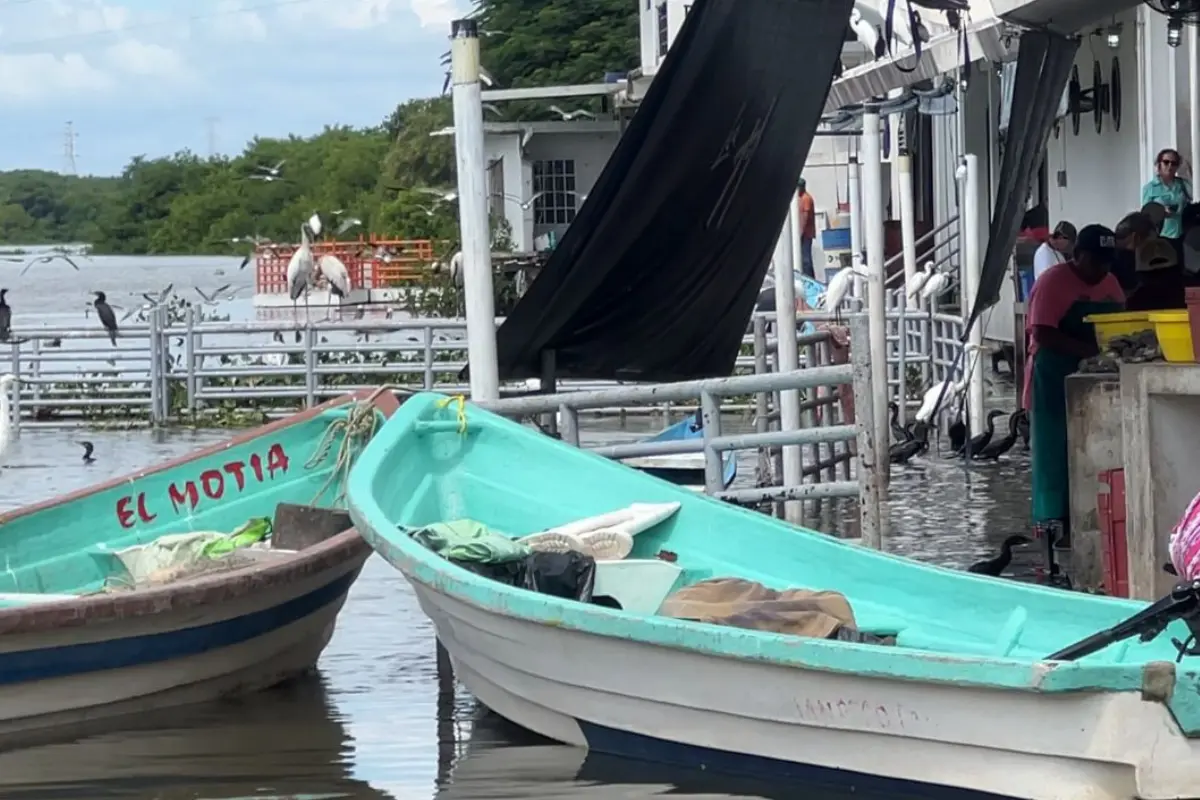 La inundación mercado de mariscos La Puntilla en Tampico afecta a locatarios y pone en riesgo la operación del centro de abasto por altos niveles de agua.
