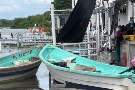 "La Puntilla" de Tampico se encuentra inundada; autoridades evalúan su cierre por seguridad "La Puntilla" de Tampico se encuentra inundada; autoridades evalúan su cierre por seguridad